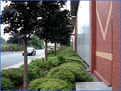 Landscape maintenance from Hawthorn Estates Landscape maintenance from Hawthorn Estates